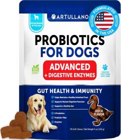Dog Probiotics Gut Health Itchy Skin Allergies & Immunity Support Yeast Balance Dog Probiotic Chews with Prebiotics Dog Probiotics and Digestive Enzy