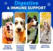 Dog Probiotics Gut Health Itchy Skin Allergies & Immunity Support Yeast Balance Dog Probiotic Chews with Prebiotics Dog Probiotics and Digestive Enzy