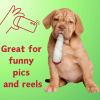 My Name is Jay, Cute Stuffed Parody Joint Dog Toy, Funny Squeaky Weed Toy, Cool Plush Novelty 420 Gift for Pets & Their Owners, Sized for Puppies & S