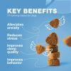 Hemp Calming Chews for Dogs Dog Calming Treats Anxiety Relief for Dogs with L Theanine Chamomile Extract Valerian Root Dog Anxiety Relief for Travel