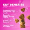 Dog UTI Treatment Dog Cranberry Supplement for Bladder Kidney Health Urinary Tract Incontinence Support Cranberry Supplement for Dog Incontinence Bla