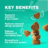 Probiotics for Dogs Support Gut Health Immunity Yeast Balance Itchy Skin Allergies Dog Probiotics and Digestive Enzymes Coprophagia Deterrent for Dog