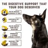 Probiotics for Dogs Support Gut Health Itchy Skin Allergies Yeast Balance Immunity Dog Probiotics and Digestive Enzymes for Small Medium and Large Do