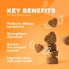Dog Allergy Relief Chews Itch Relief for Dogs Anti Itch Dog Allergy Chews US Formulated Dog Itching Skin Relief with Salmon Oil Immune Health Seasona
