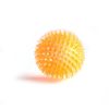 Dog Vocal Toys Puppy Spike Toy Small Dog Spike Pet Molar Toy Pet Toy