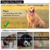 Reflective AirTag Dog Collar; ivienx Apple Air Tag Heavy Duty Dog Collar [Wide] Padded Pet Collar with AirTag Case Holder Accessories for Small Mediu